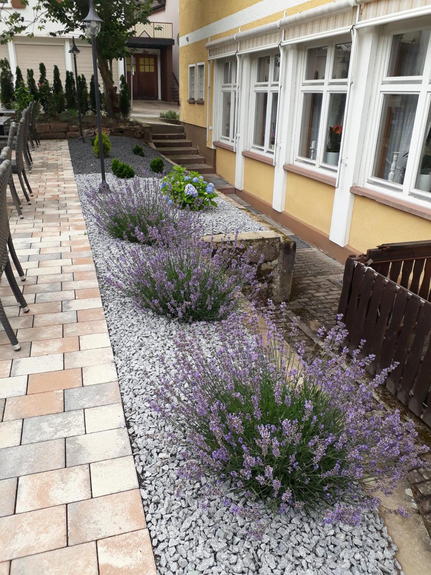 Hotel Eleon Bad Teinach-Zavelstein Kültér fotó